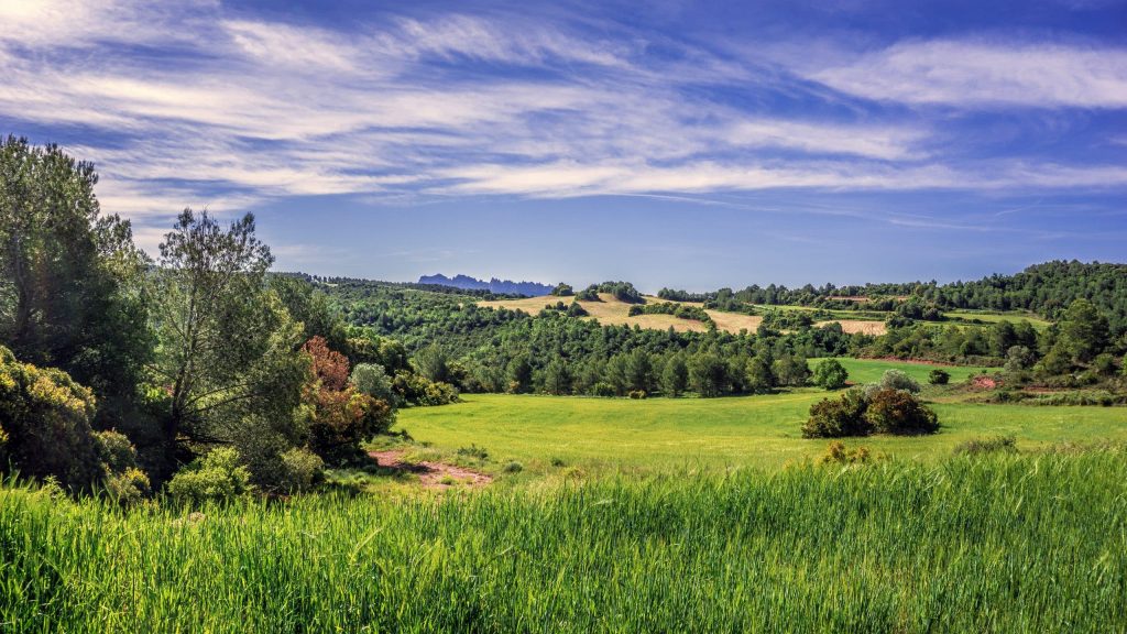 Canva Rural Landscape View scaled 1