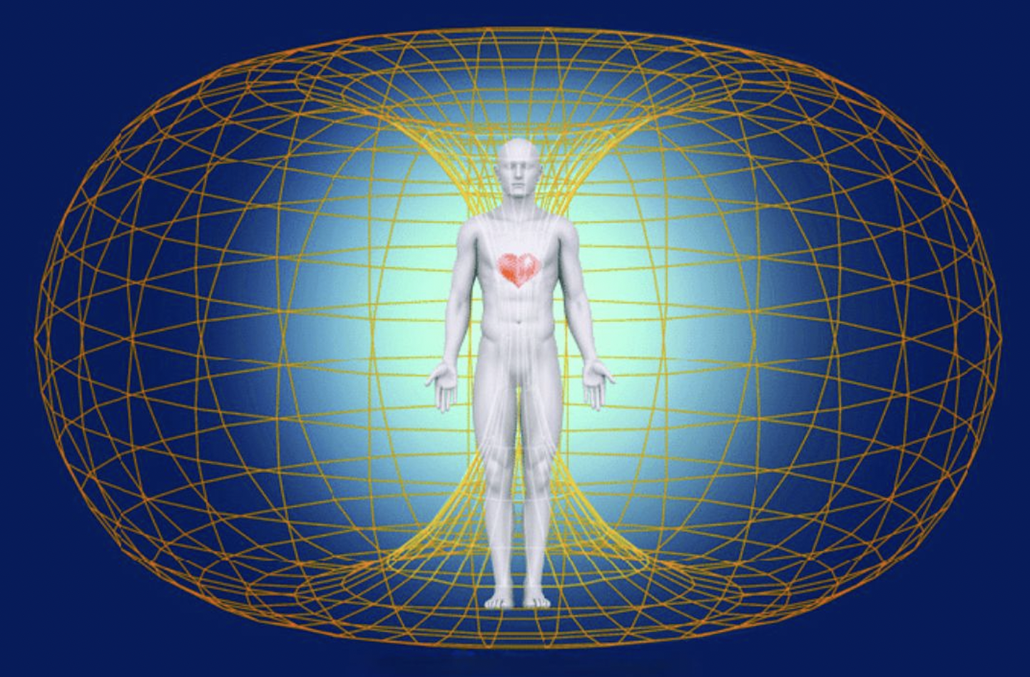 Human figure inside a toroidal energy field, representing the heart’s electromagnetic field and its connection with Earth’s magnetic field.